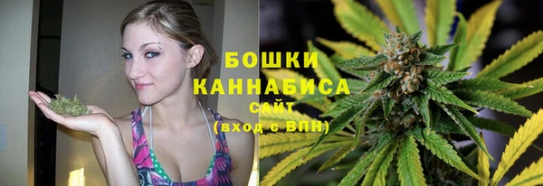 мдпв Михайлов