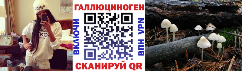 Галлюциногенные грибы ЛСД  закладка  Михайловск 