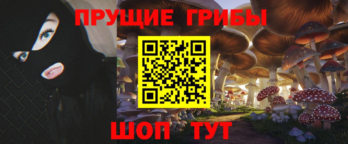Псилоцибиновые грибы мухоморы  Псилоцибиновые грибы Magic Shrooms  Михайловск  Вход с VPN 